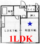 A 1LDK: One large bedroom and a separate living/dining room/kitchen.